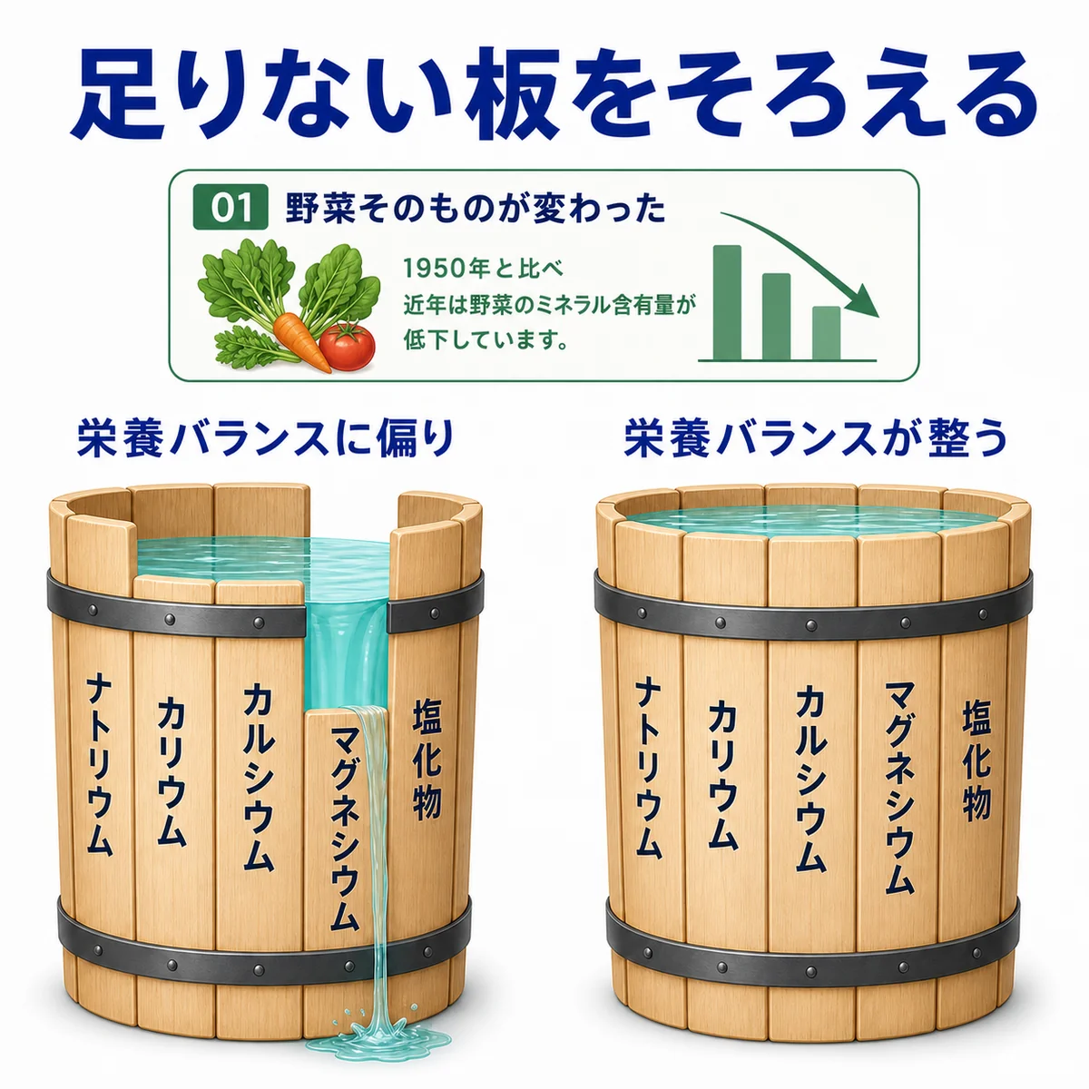 桶の理論の図解。板が1枚短い桶は水が漏れ、すべての板がそろった桶は水を満たせる。板にはナトリウム・カリウム・カルシウム・マグネシウム・塩化物の名前がついている